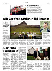 Síða 19