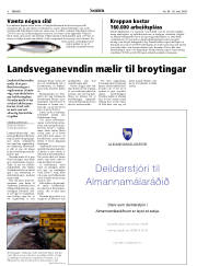 Síða 8