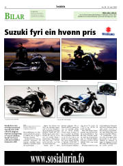 Síða 26