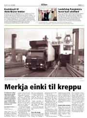 Síða 11