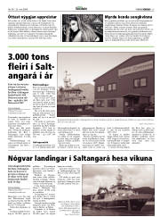 Síða 13