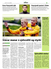 Síða 29