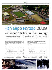 Síða 20