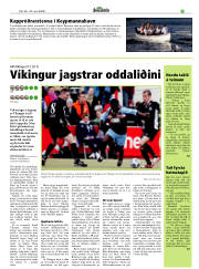 Síða 33