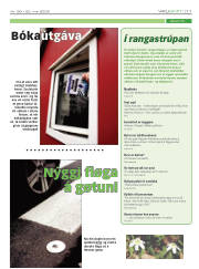 Síða 11