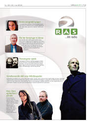 Síða 13