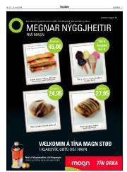 Síða 3