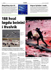 Síða 4