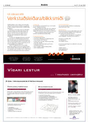 Síða 8