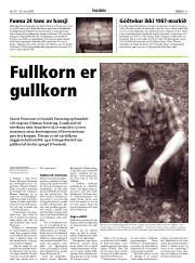 Síða 11
