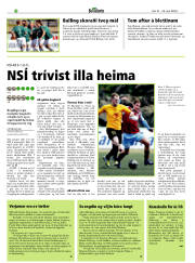 Síða 22