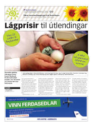Síða 41