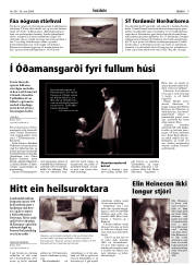 Síða 9