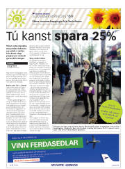 Síða 33
