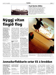 Síða 9