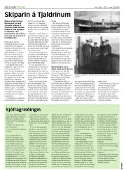 Síða 28