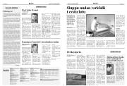 Síða 5