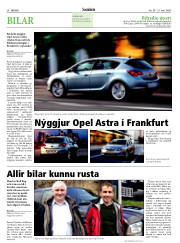 Síða 36
