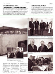 Síða 11