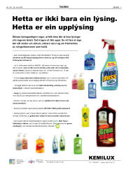 Síða 3