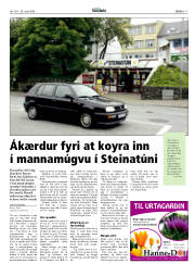 Síða 17