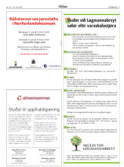Síða 25