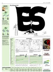 Síða 40