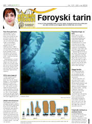 Síða 20