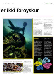 Síða 21