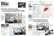 Síða 21
