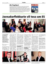Síða 13
