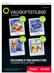 Síða 40