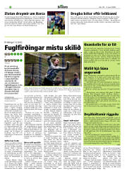 Síða 24