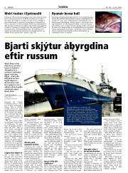 Síða 6