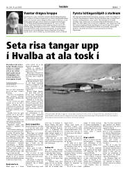 Síða 9