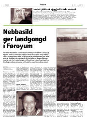 Síða 12
