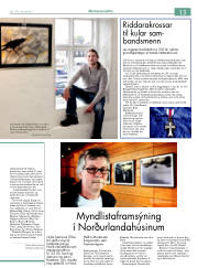 Síða 29