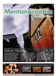 Síða 17