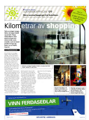 Síða 41