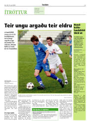 Síða 33