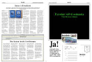 Síða 13