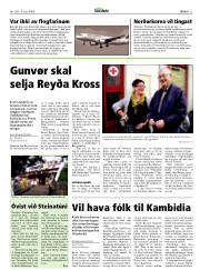 Síða 13