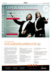 Síða 2