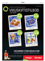 Síða 17