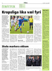 Síða 20