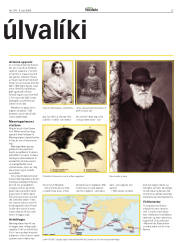 Síða 25