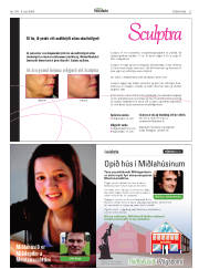Síða 27