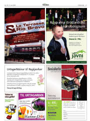 Síða 29
