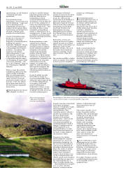 Síða 31