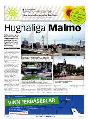Síða 41